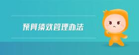 預(yù)算績效管理辦法