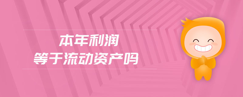 本年利潤等于流動(dòng)資產(chǎn)嗎