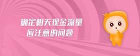 確定相關(guān)現(xiàn)金流量應(yīng)注意的問題