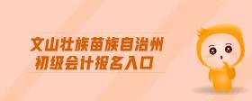 文山壯族苗族自治州初級(jí)會(huì)計(jì)報(bào)名入口