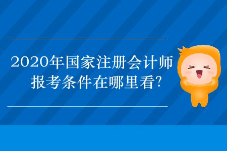 2020年國(guó)家注冊(cè)會(huì)計(jì)師報(bào)考條件在哪里看？