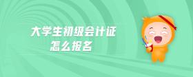 大學生初級會計證怎么報名