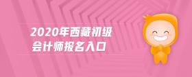 2020年西藏初級(jí)會(huì)計(jì)師報(bào)名入口