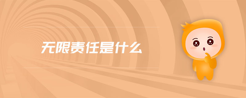 無限責(zé)任是什么