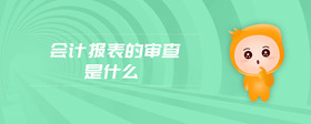 會計報表的審查是什么