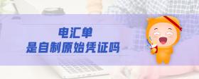 電匯單是自制原始憑證嗎