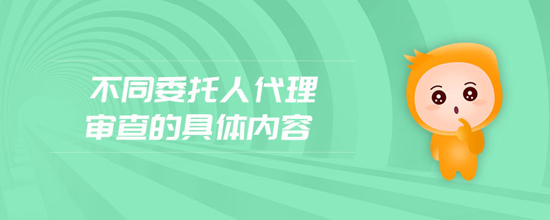 不同委托人代理審查的具體內容