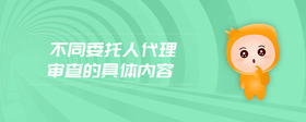 不同委托人代理審查的具體內(nèi)容
