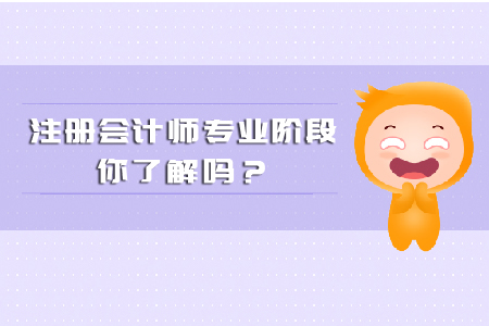 注冊(cè)會(huì)計(jì)師專業(yè)階段你都了解多少？