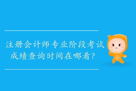 2019年注冊會計(jì)師專業(yè)階段考試成績查詢時(shí)間在哪看？