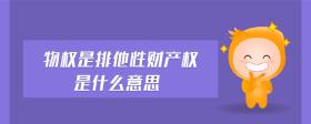 物權(quán)是排他性財(cái)產(chǎn)權(quán)是什么意思