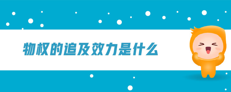 物權的追及效力是什么
