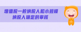 增值稅一般納稅人和小規(guī)模納稅人確定的審核