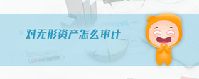 對無形資產(chǎn)怎么審計