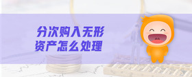 分次購入無形資產(chǎn)怎么處理