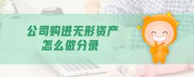 公司購進(jìn)無形資產(chǎn)怎么做分錄