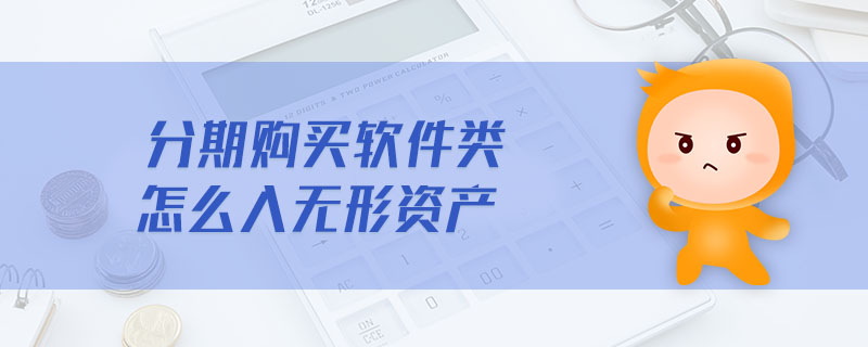 分期購買軟件類怎么入無形資產(chǎn)