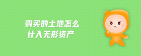 購(gòu)買(mǎi)的土地怎么計(jì)入無(wú)形資產(chǎn)