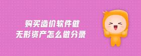 購(gòu)買(mǎi)造價(jià)軟件做無(wú)形資產(chǎn)怎么做分錄