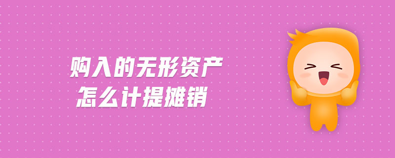 購(gòu)入的無(wú)形資產(chǎn)怎么計(jì)提攤銷