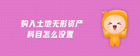 購入土地?zé)o形資產(chǎn)科目怎么設(shè)置