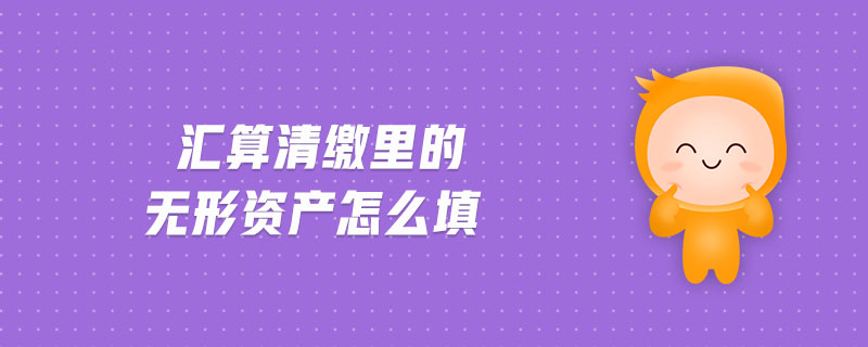 匯算清繳里的無形資產(chǎn)怎么填
