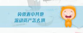 負(fù)債表中其他流動(dòng)資產(chǎn)怎么填
