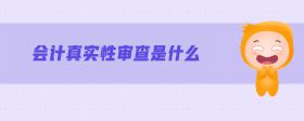 會(huì)計(jì)真實(shí)性審查是什么