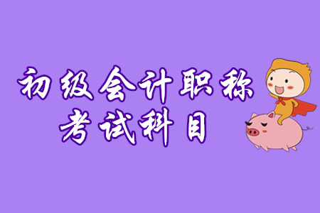 2020年初級會計(jì)考試科目考試時(shí)間公布了嗎？