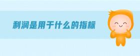 利潤(rùn)是用于什么的指標(biāo)