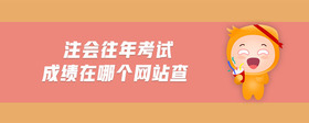 注會(huì)往年考試成績(jī)?cè)谀膫€(gè)網(wǎng)站查