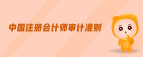 中國注冊會計師審計準則