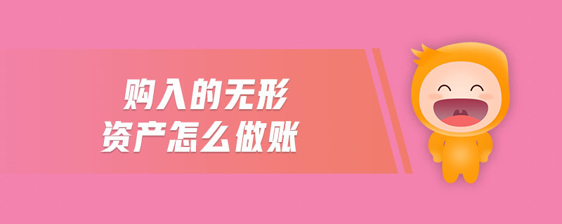 購入的無形資產怎么做賬