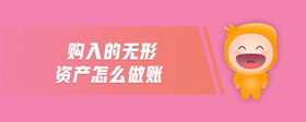 購入的無形資產(chǎn)怎么做賬