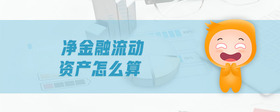 凈金融流動(dòng)資產(chǎn)怎么算