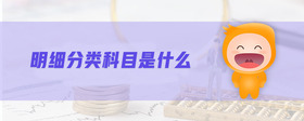 明細(xì)分類(lèi)科目是什么
