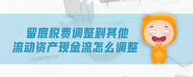 留底稅費(fèi)調(diào)整到其他流動(dòng)資產(chǎn)現(xiàn)金流怎么調(diào)整