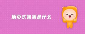 活頁(yè)式賬簿是什么