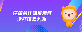 注冊會計師準考證沒打印怎么辦
