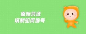 原始憑證填制如何編號(hào)