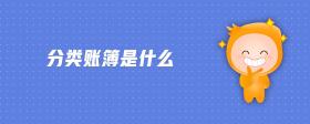 分類賬簿是什么