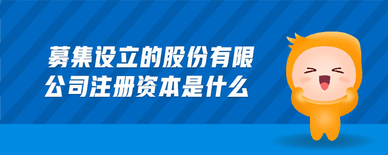 募集設(shè)立的股份有限公司注冊資本是什么