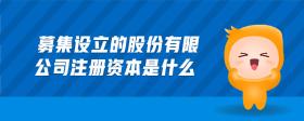 募集設(shè)立的股份有限公司注冊資本是什么