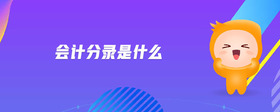 會計分錄是什么