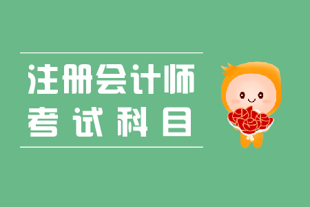 注冊(cè)會(huì)計(jì)師考試專業(yè)階段有哪些科目？