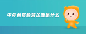 中外合資經(jīng)營企業(yè)是什么