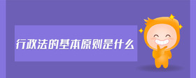 行政法的基本原則是什么