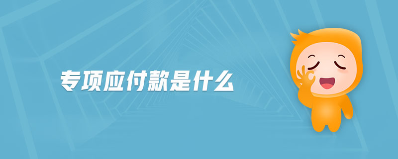 專(zhuān)項(xiàng)應(yīng)付款是什么