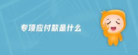 專項(xiàng)應(yīng)付款是什么