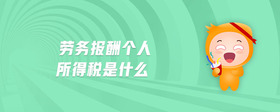 勞務(wù)報酬個人所得稅是什么